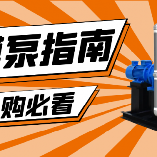 收下這份隔膜泵采購(gòu)指南，助你龍年“泵”發(fā)生產(chǎn)活力